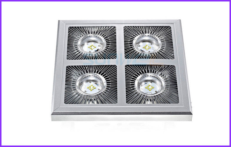 High Efficiency 120w cree led flood lights IP65 For City Gym Sport Court