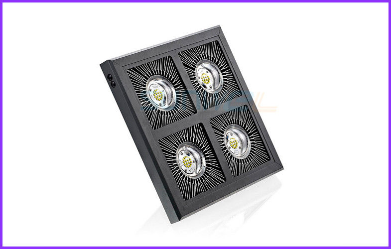 High Efficiency 200 watt led flood light for Building factory , external led flood lights